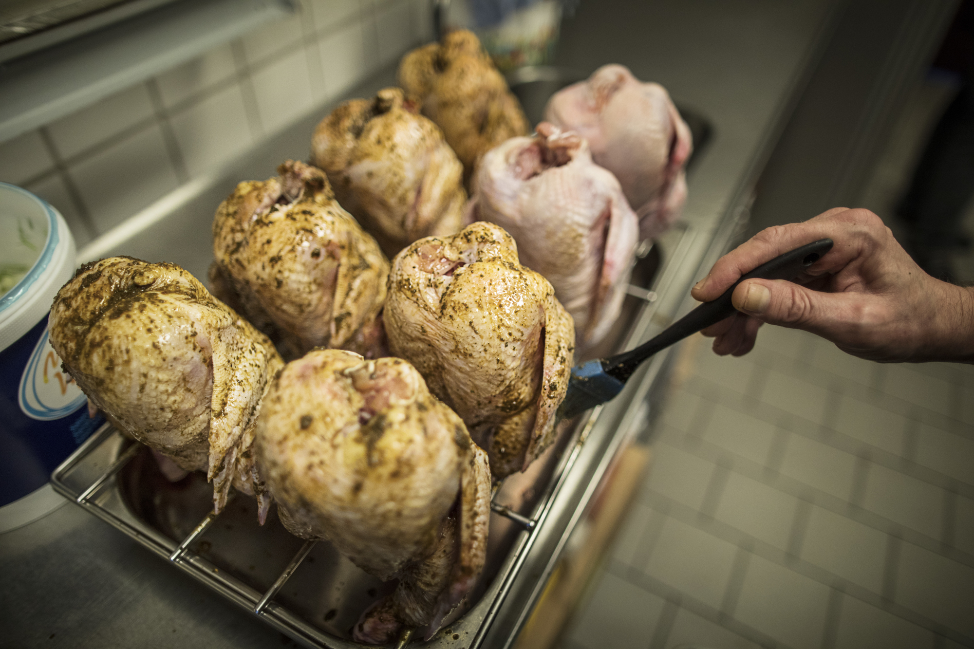 Kylling VIBORG RAISFOTO 6478