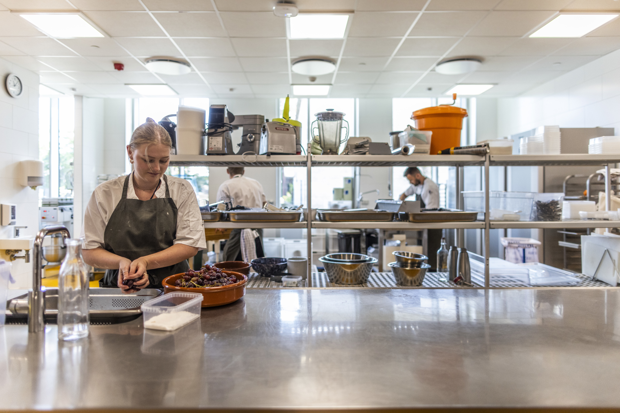 Wicotec Bentbrandt RAISFOTO C1 5973