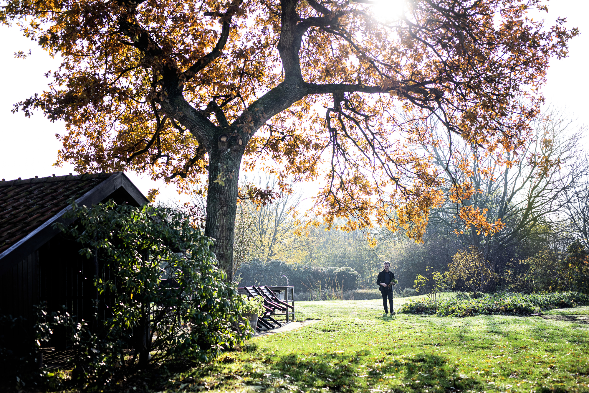 BB Francis RAISFOTO 6516