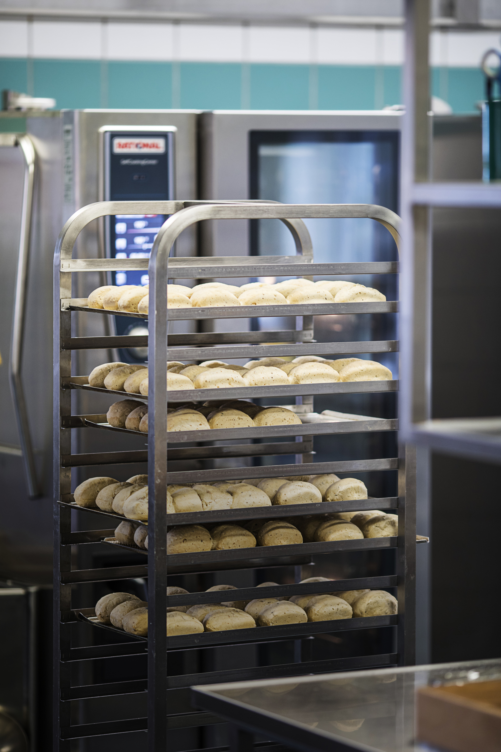 RED Bentbrandt NR NISSUM RAISFOTO 2890