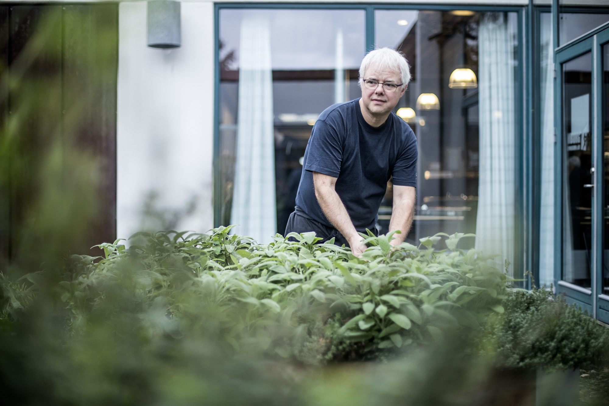 Bentbrandt VIBORG RAISFOTO 6515