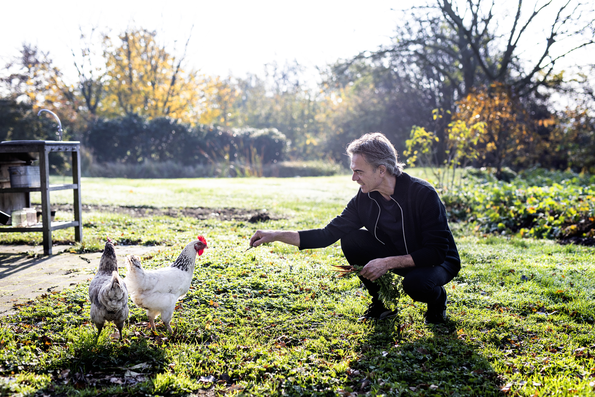 BB Francis RAISFOTO 6543