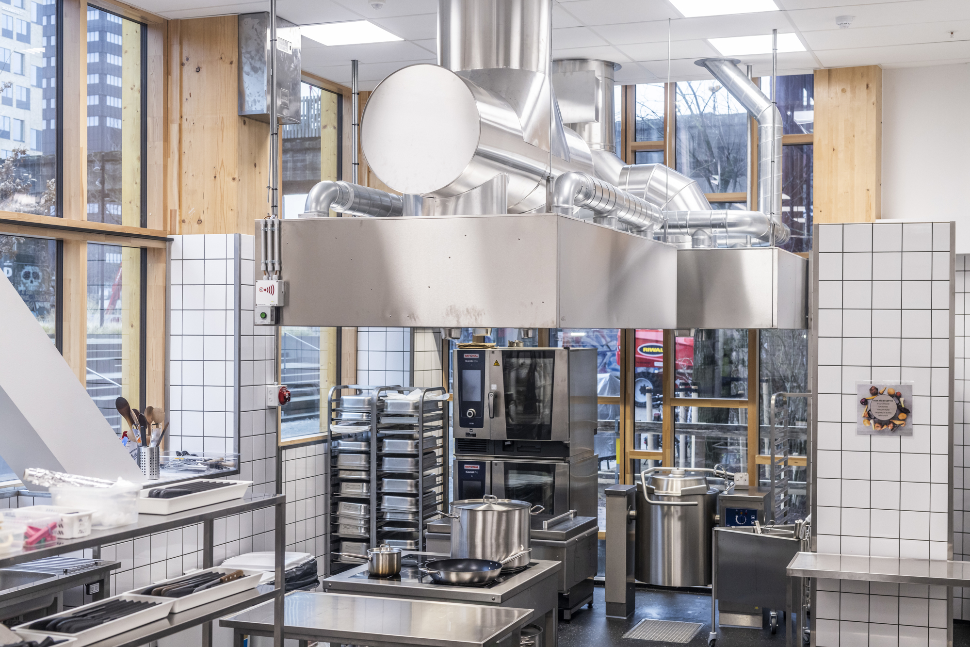 Bentbrandt TRÆ RAISFOTO C1 1661