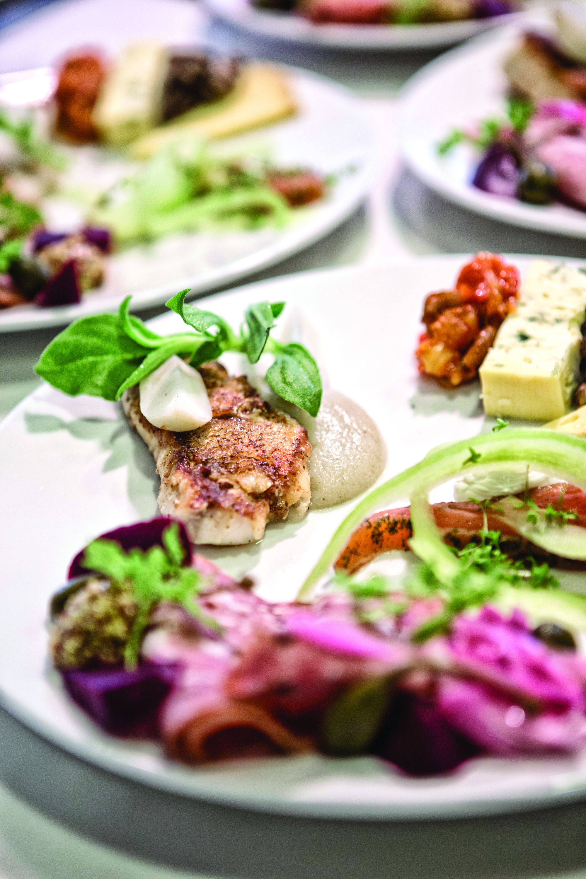 Aros Davidbering 5260